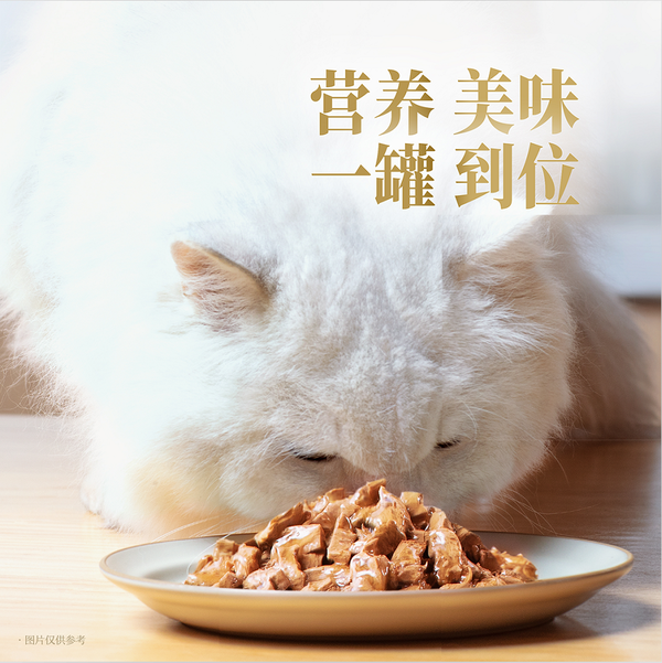 享誉全球的明星猫主食罐登陆中国 雀巢珍致重新定义猫湿主粮