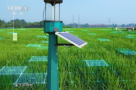 振东健康再登CCTV-1 | 以大健康生态回应时代之问