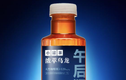 无糖茶饮料品牌怎么选？4款常见品牌特点与适合人群盘点